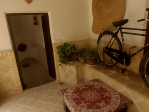 عکس هتل سنتی شاخه نبات