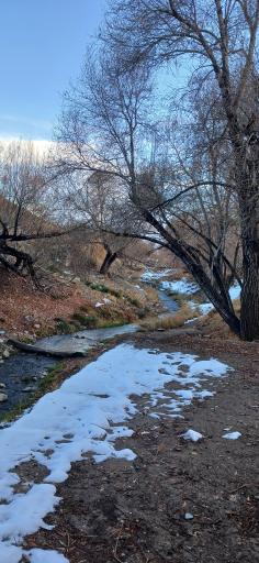 عکس خوانسار