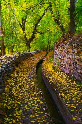 عکس خوانسار
