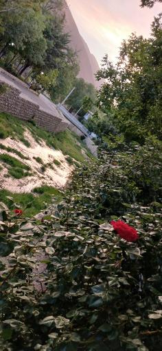 عکس خوانسار