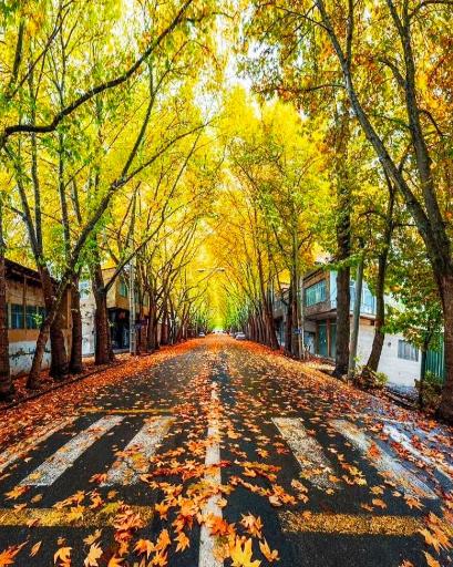 عکس خوانسار