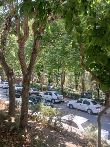 عکس خوانسار