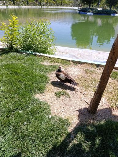 عکس خوانسار