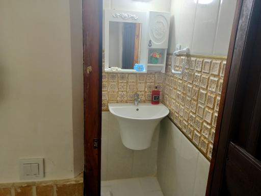 عکس هتل سنتی شاخه نبات