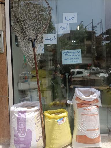 عکس دانه فروشی مملو