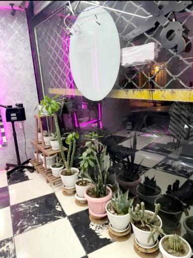 عکس پیرایش کافه مو