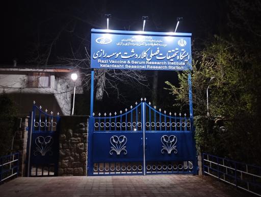 عکس سرم سازی رازی