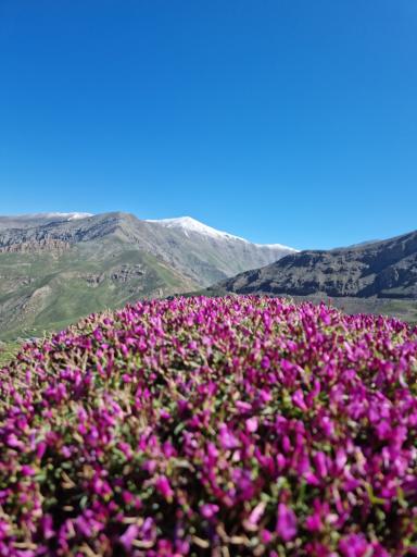 عکس پیست اسکی دیزین