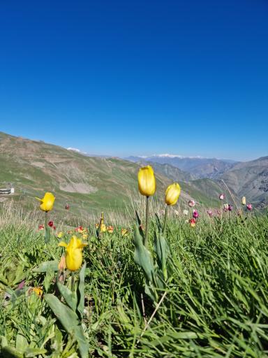 عکس پیست اسکی دیزین
