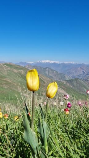 عکس پیست اسکی دیزین