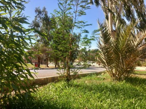 عکس پارک فلاحت