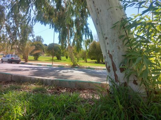 عکس پارک فلاحت