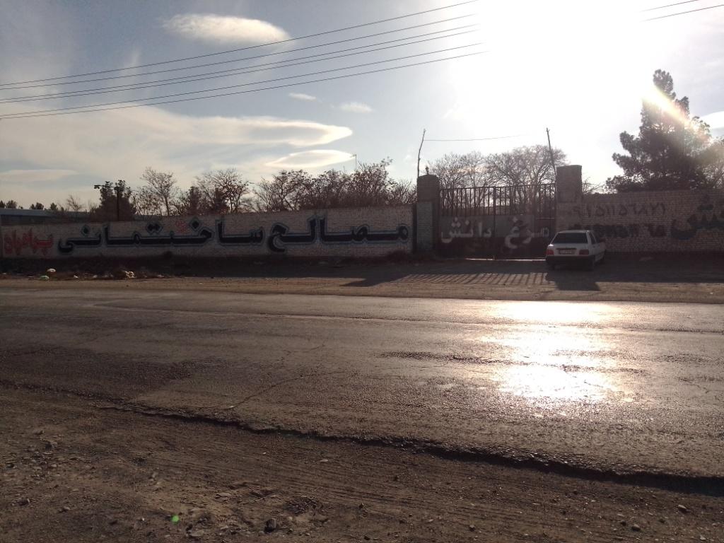 عکس مرغ دانش