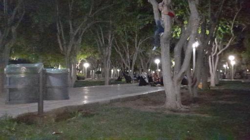 عکس بوستان گل سرخ