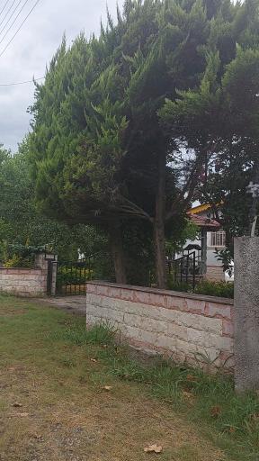 عکس شهرک ویلایی امید