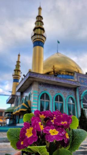 عکس امامزاده سید حسین (ع)