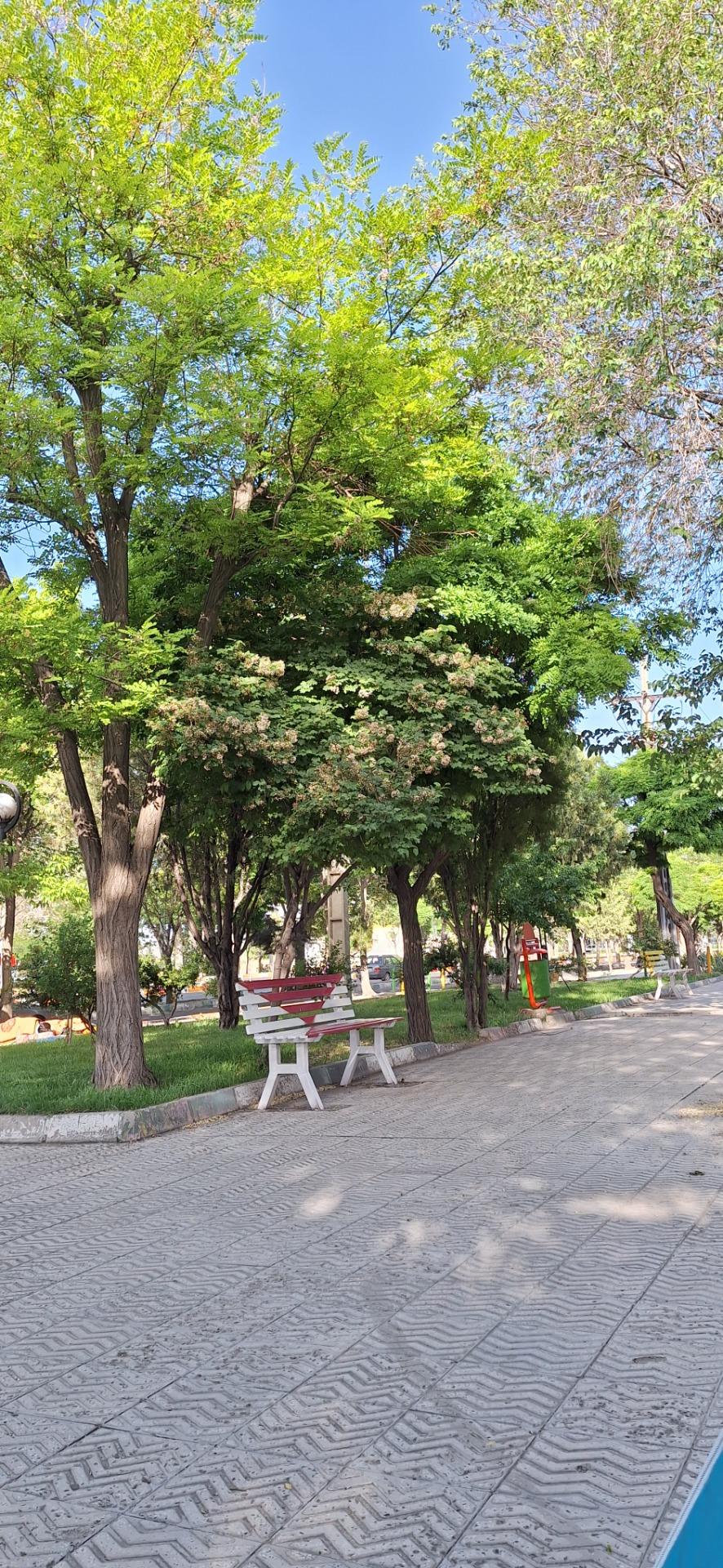 عکس پارک میثم