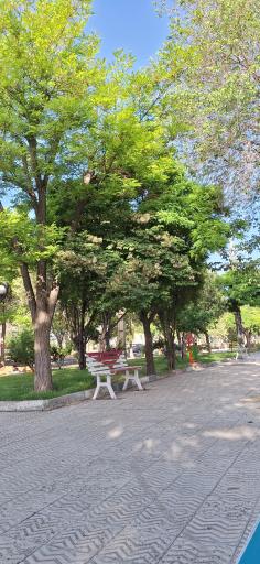 عکس پارک میثم