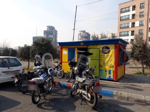 عکس پیک بادپا گیشا