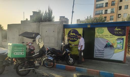 پیک بادپا گیشا