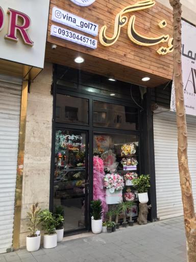 عکس وینا گل