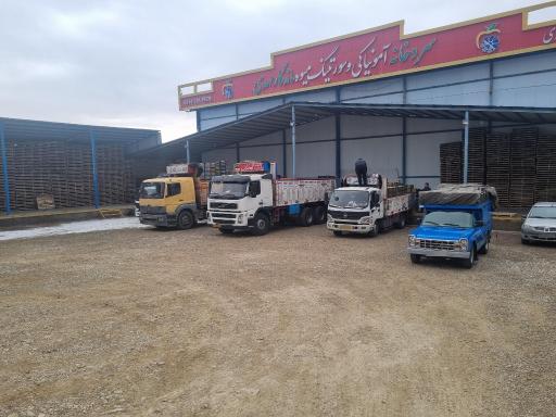 عکس سردخانه آمونیاکی و سورتینگ ماندگار مهدی