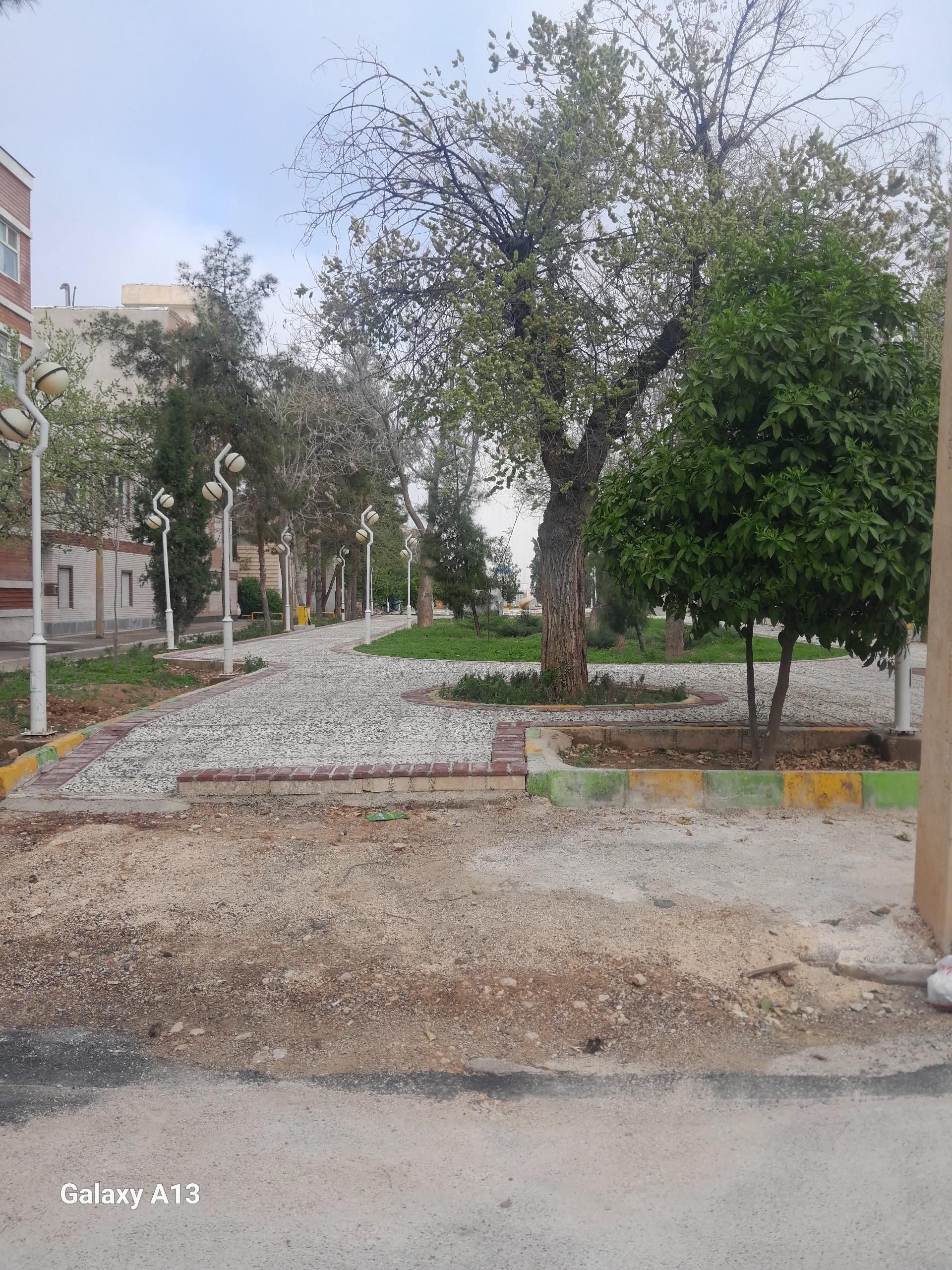 عکس پارک شبان
