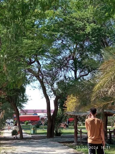 عکس پارک دولت