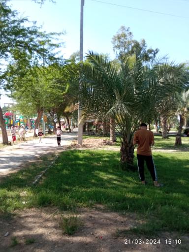 عکس پارک دولت