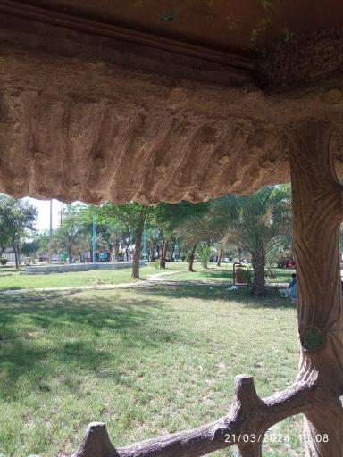 عکس پارک دولت