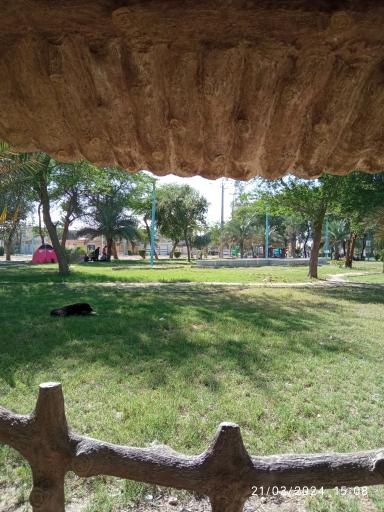 عکس پارک دولت