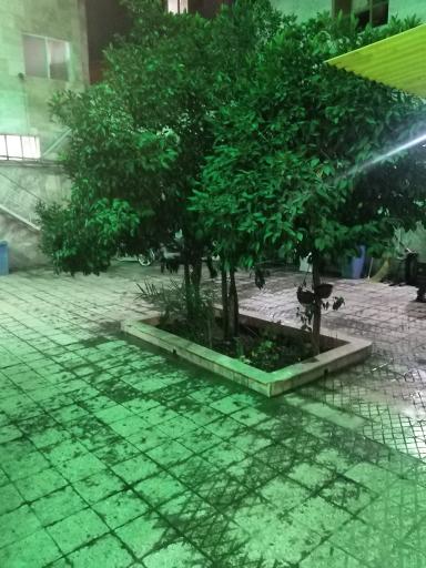 عکس مسجد سید عزیزالله اردبیلی