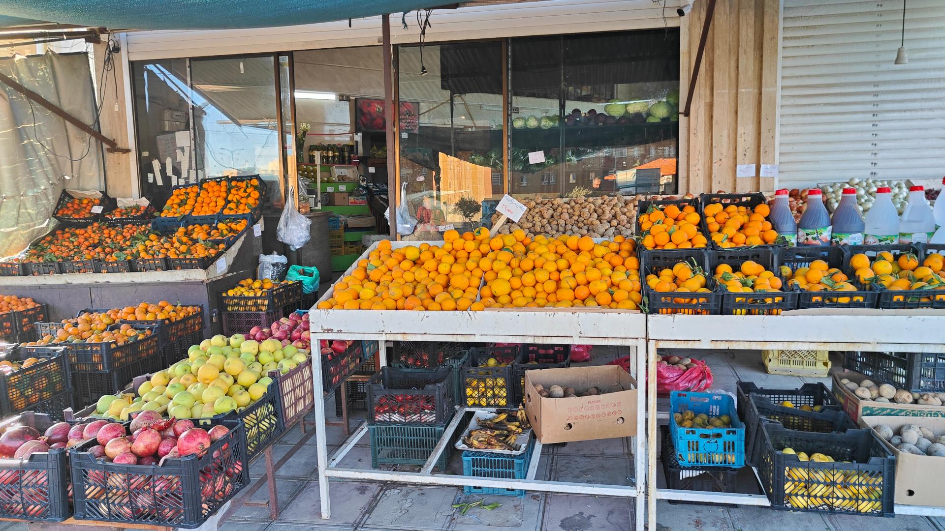 عکس میوه سرای احمدی