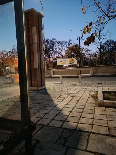 عکس دانشگاه فردوسی