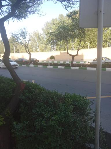 عکس  شهید قانع 10