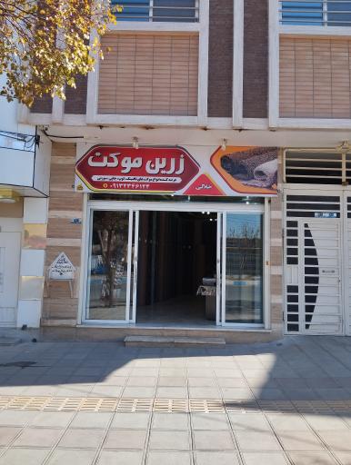 عکس زرین موکت 