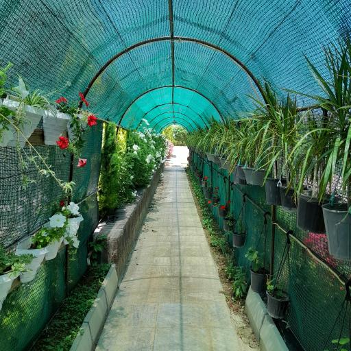 عکس مجتمع اقامتی گلستانکوه