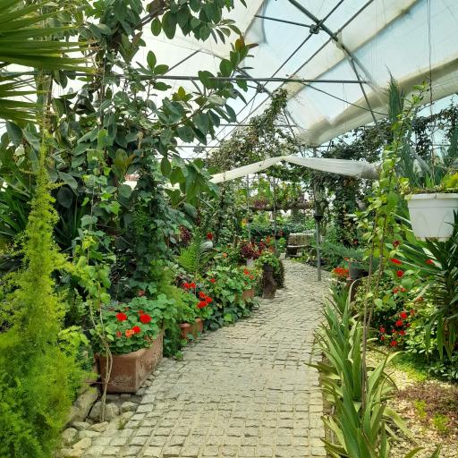 عکس مجتمع اقامتی گلستانکوه