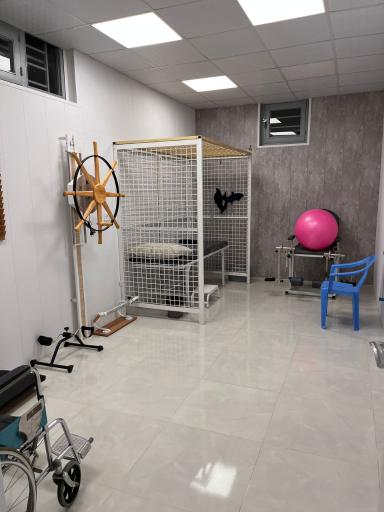 عکس فیزیوتراپی پرتو سلامت