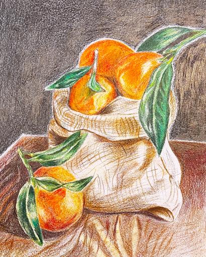 عکس استودیو هنری باغچه