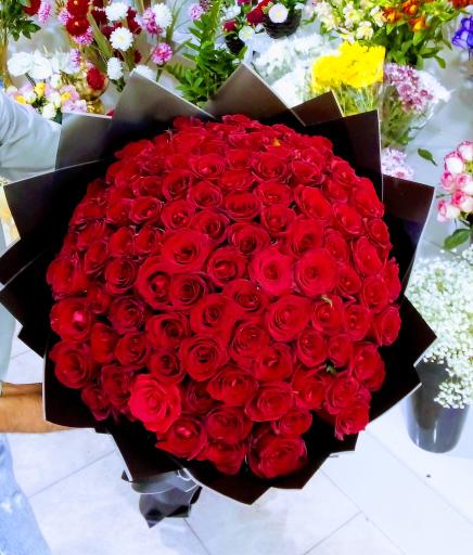 عکس گالری گل آرتا