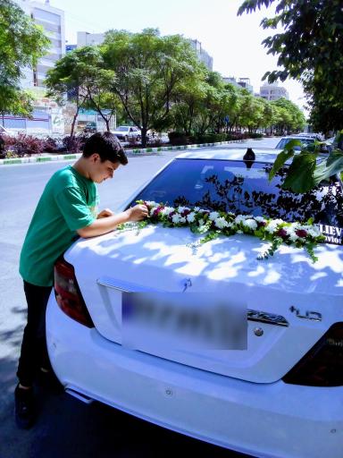 عکس گالری گل آرتا