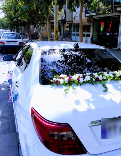 عکس گالری گل آرتا