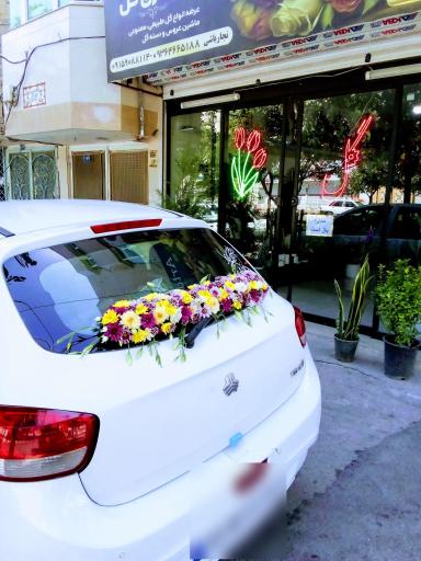 عکس گالری گل آرتا