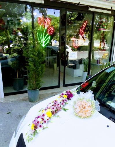 عکس گالری گل آرتا