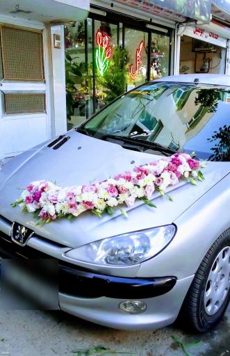 عکس گالری گل آرتا