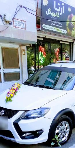 عکس گالری گل آرتا