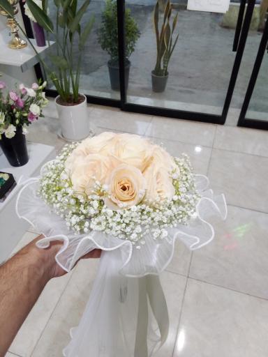 عکس گالری گل آرتا