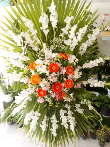 عکس گالری گل آرتا