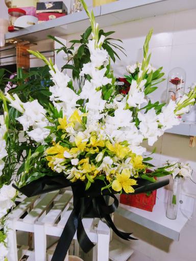 عکس گالری گل آرتا